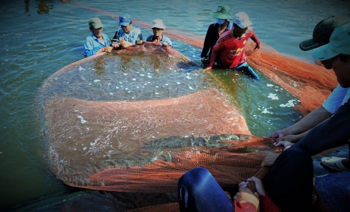 nh-bài-phụ-trang-17-scaled-e1642473553153