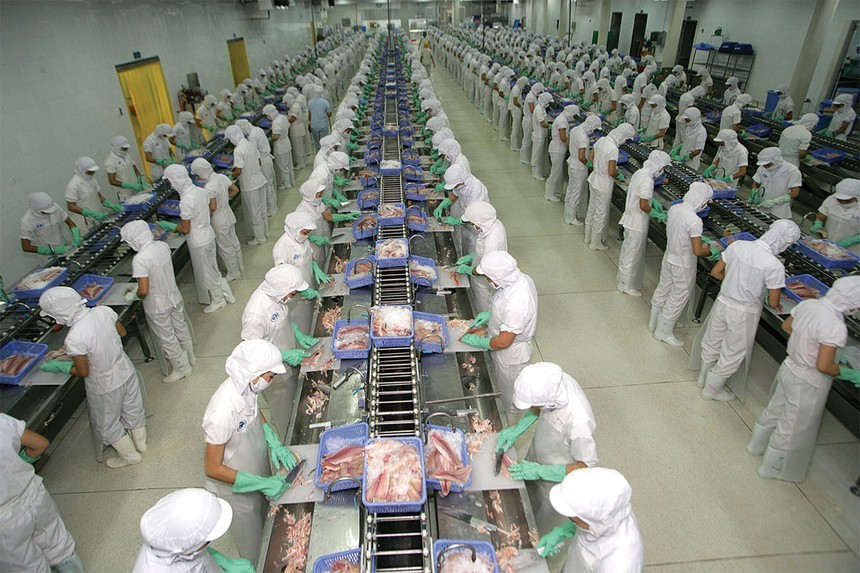 nha-may-che-bien-thuy-san-quy-mo-cong-nghe