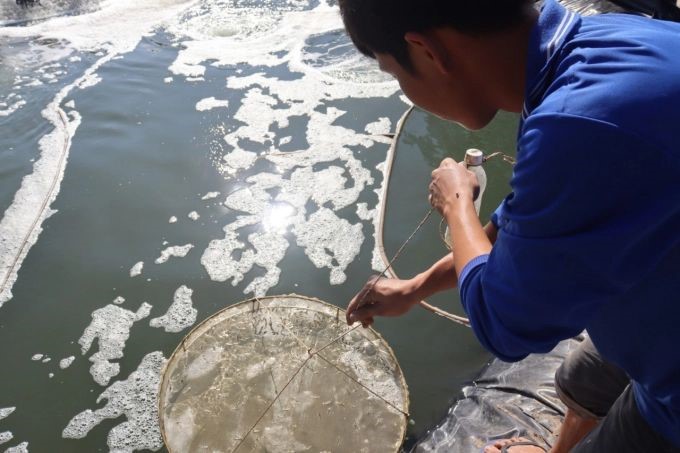 nhan-rong-mo-hinh-nuoi-tom