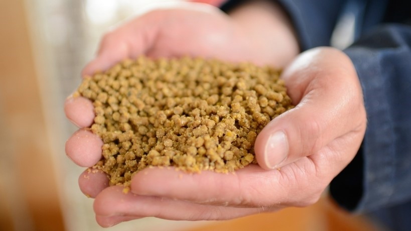 nhap-khau-thuc-an-gia-suc-va-nguyen-lieu-dat-165-ty-usd-trong-4-thang-dau-nam