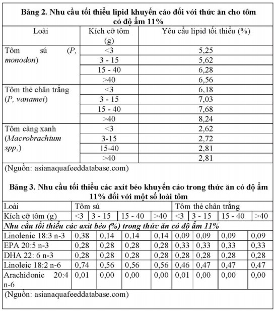 nhu cau lipid cua tom 02
