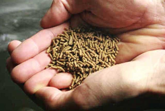 nhu-cau-vi-ta-min-tren-tom-01