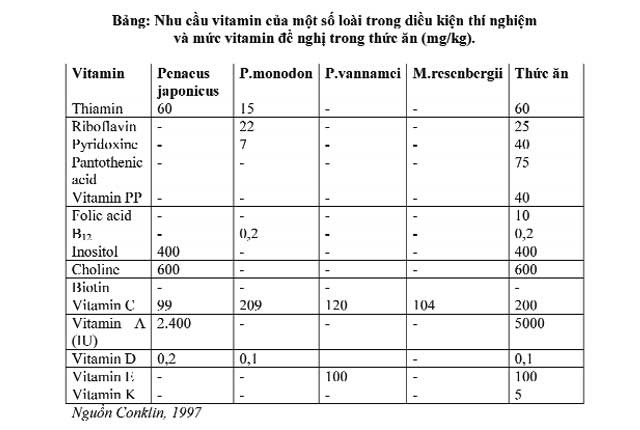 nhu-cau-vi-ta-min-tren-tom-02