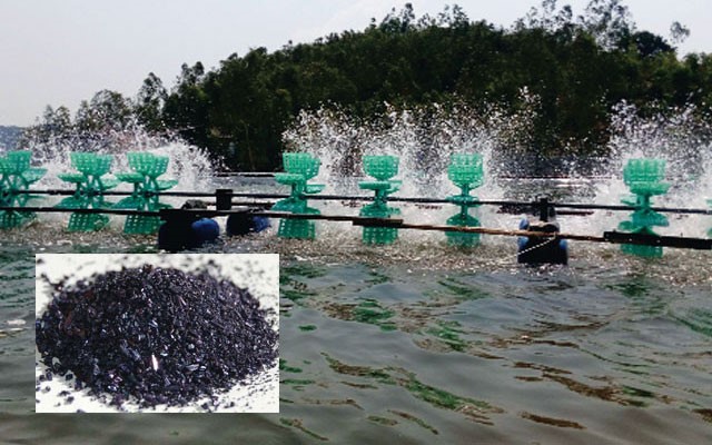 nhung-dieu-can-biet-khi-su-dung-KMnO4 (1)