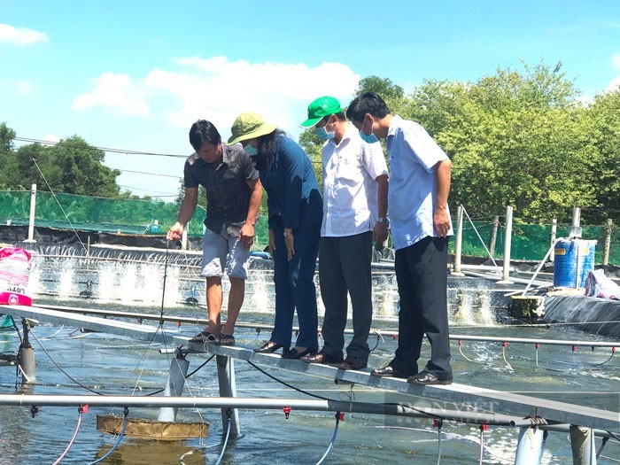 nong-dan-nha-be-nuoi-tom