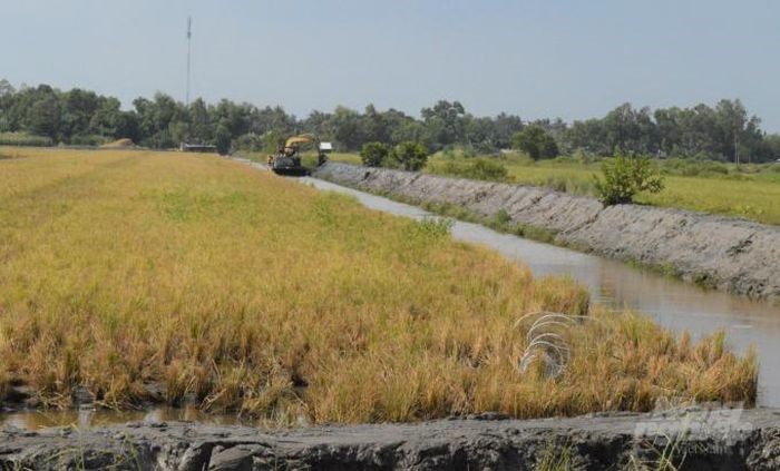 nong-dan-tu-sua-bo-vuong