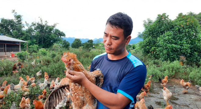 Quảng Ninh với tham vọng quy hoạch vùng chăn nuôi an toàn quy mô lớn
