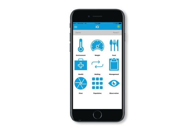 nuoi-tom-bang-dien-thoai-01