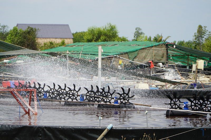 nuoi-tom-cnc-e1640580090329