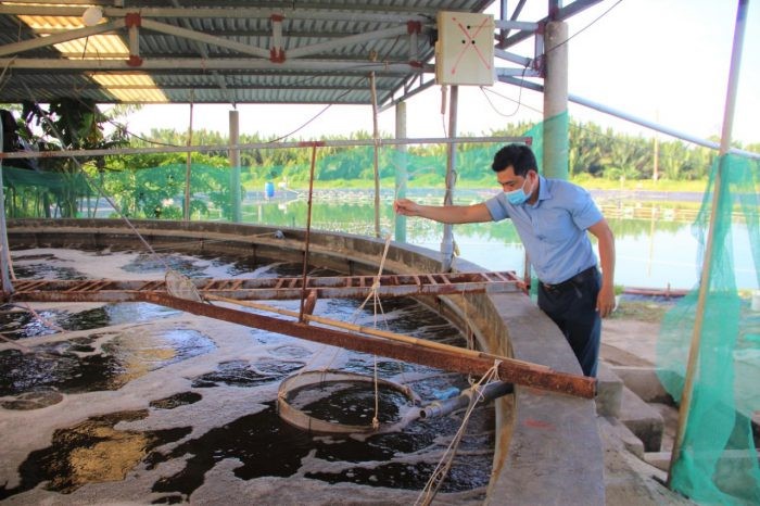 nuoi-tom-hieu-qua-e1636515785935