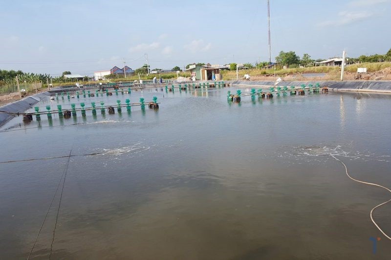 nuoi-tom-mat-do-cao-e1644994793346