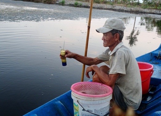 nuoi-tom-mua-han-man (1)