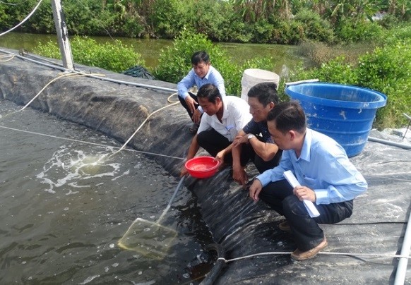 nuoi-tom-mua-han-man-1