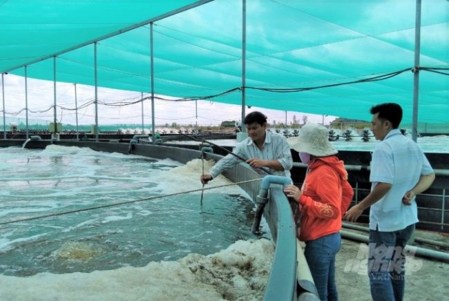 nuoi-tom-nhieu-giai-doan-3-e1639533122168