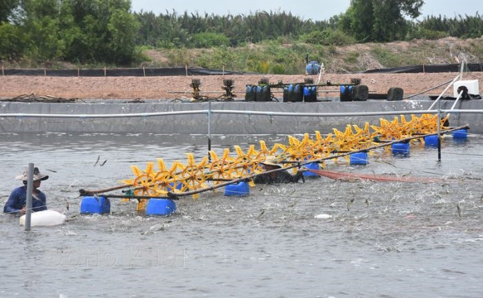 nuoi-tom-nuoc-lo-e1628471201622