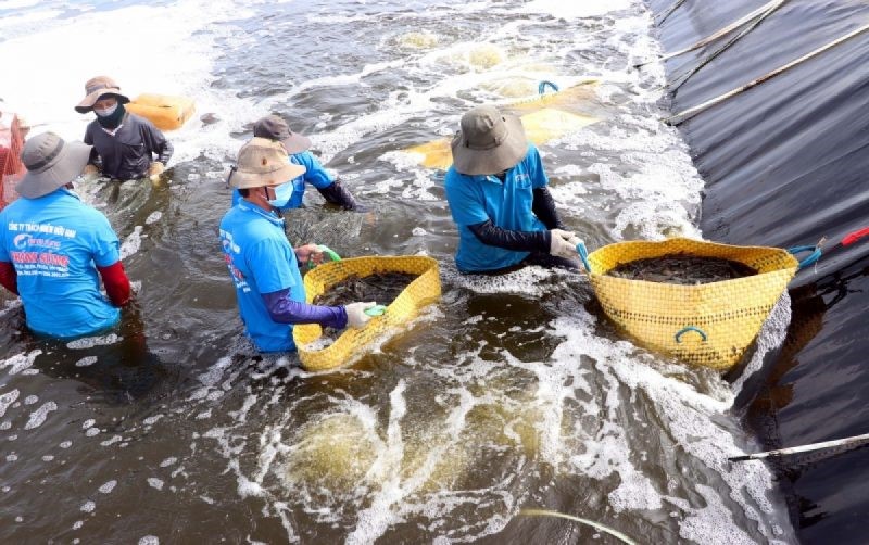 nuoi-tom-nuoc-lo-e1641863834609