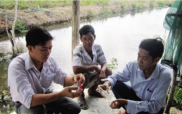 nuoi-tom-quang-canh-cai-tien (1)
