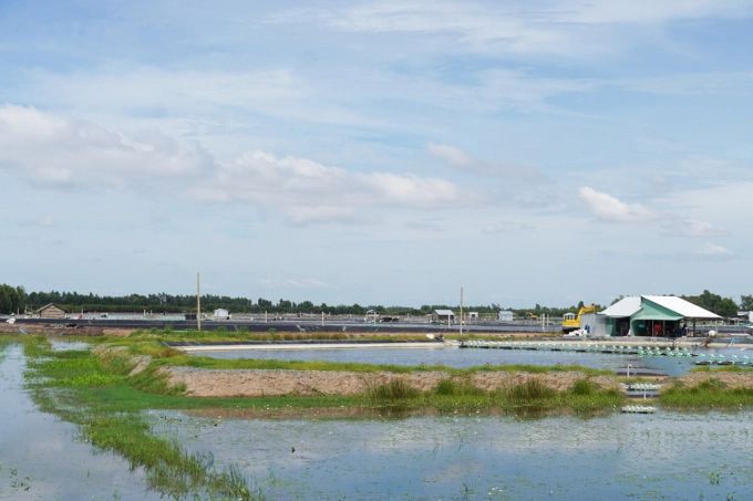 nuoi-tom-the-chan-trang-tren-dia-ban-long-an