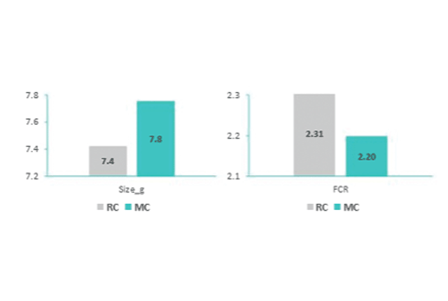 nuoi-tom-the-sieu-tham-canh-hieu-qua-02