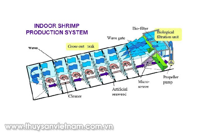 nuoi-tom-tren-dat-lien-bang-cong-nghe-cao-02