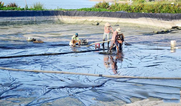nuoi-tom-xa-binh-chanh