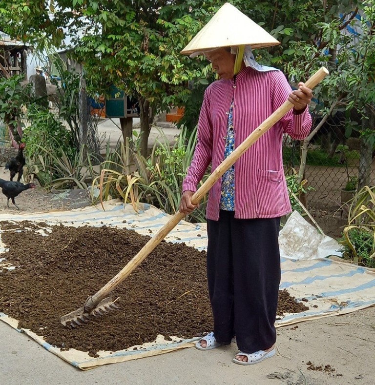 Tăng thu nhập từ bán chất thải trâu, bò