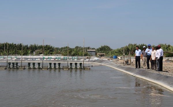 phong-benh-cho-tom-trong-mua-mua-e1591752015225