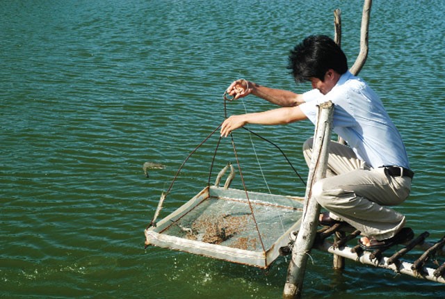 phong-benh-tom-thoi-diem-giao-mua-02