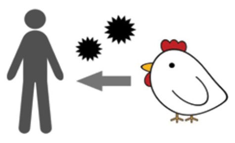 phong-chong-cum-gia-cam