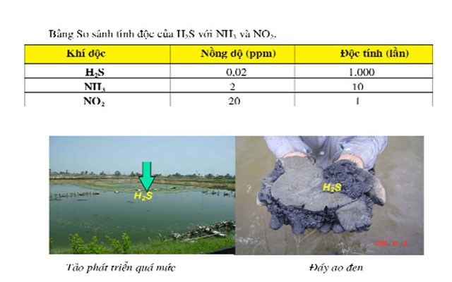 phong-ngua-H2S