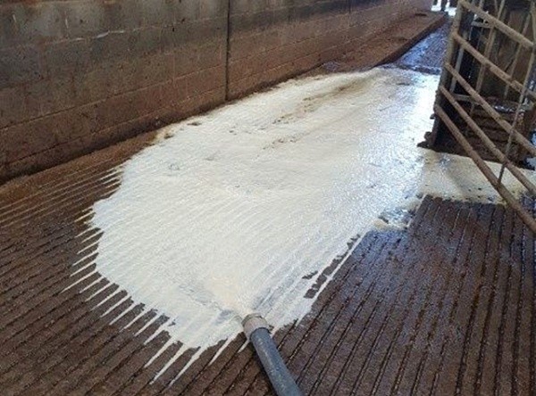 photo-1-1633779245819865978651