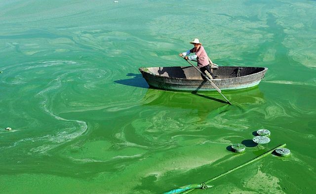 phu-duong-hoa-phospho