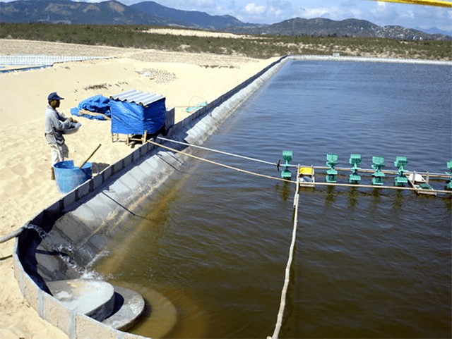 quan-ly-moi-truong-nuoi-tom-tren-cat