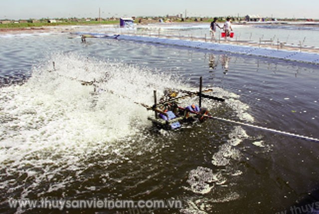 quan-ly-su-dung-khang-sinh-trong-NTTS-02_4