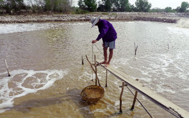 quan-ly-thuc-an-nuoi-tom