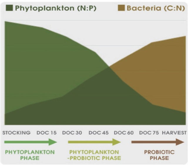 quy-trinh-quan-ly-nuoc-Mixotrophic-2