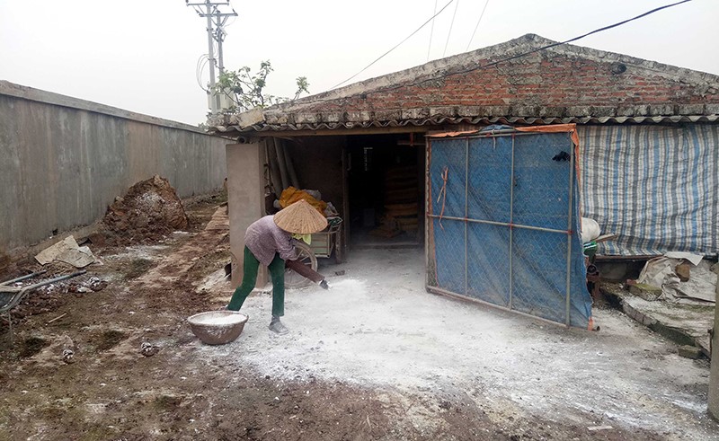 rac-voi-bot-thai-thuy