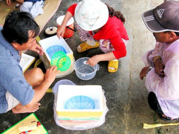 rui-ro-khong-kiem-soat-nguon-goc-xuat-xu-tom-hum-giong-1