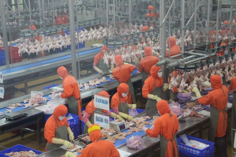 san-luong-gia-cam-nam-2021-scaled-e1643210765425