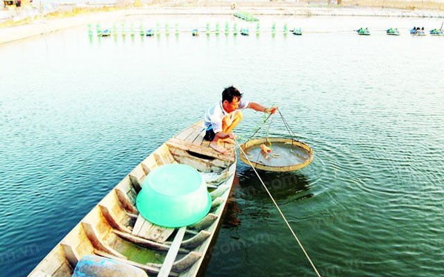 san-pham-thay-the-khang-sinh