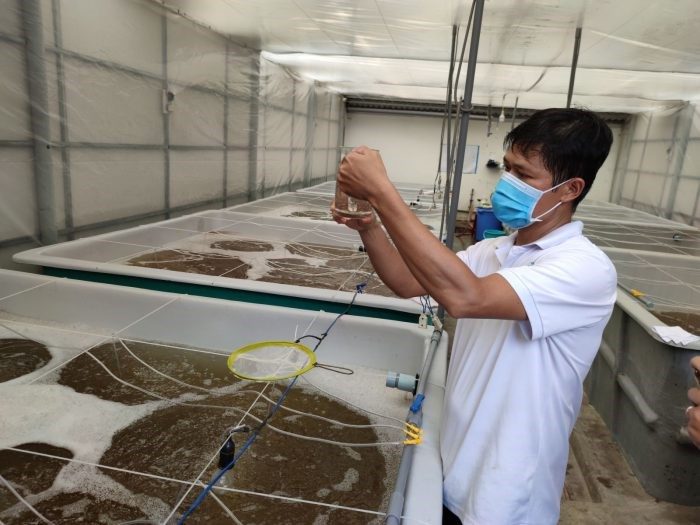 san-xuat-tom-giong-e1637306031272