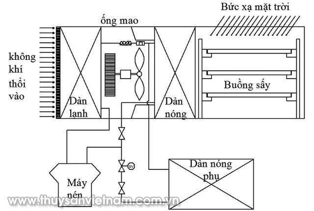 sau-thuy-san-bang-nang-luong-mat-troi-02