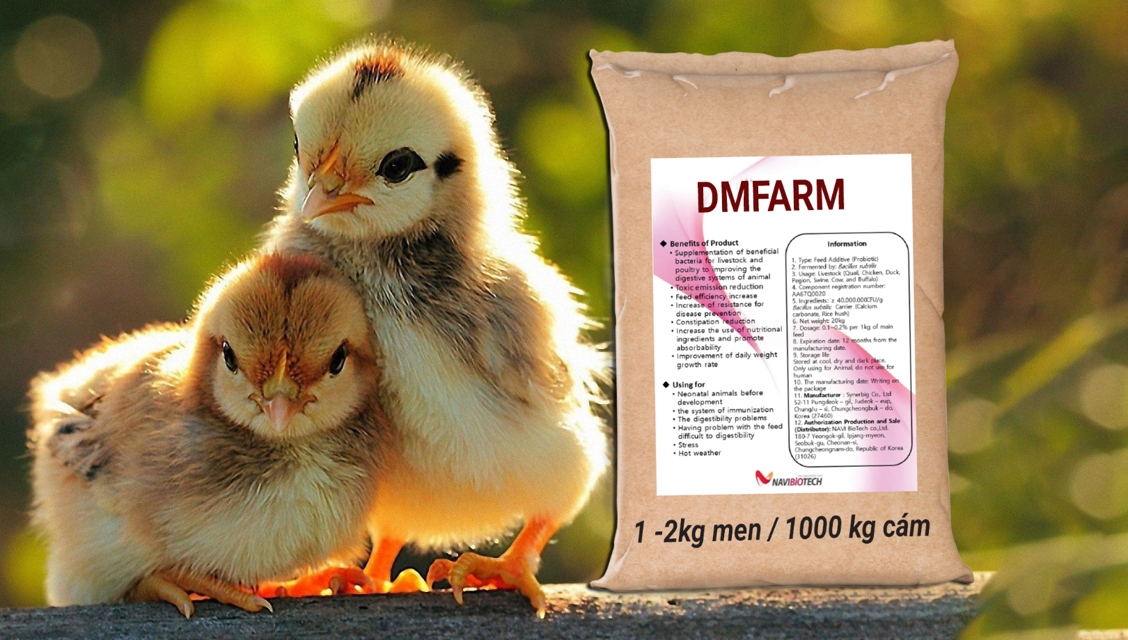 screenshot_1665795370