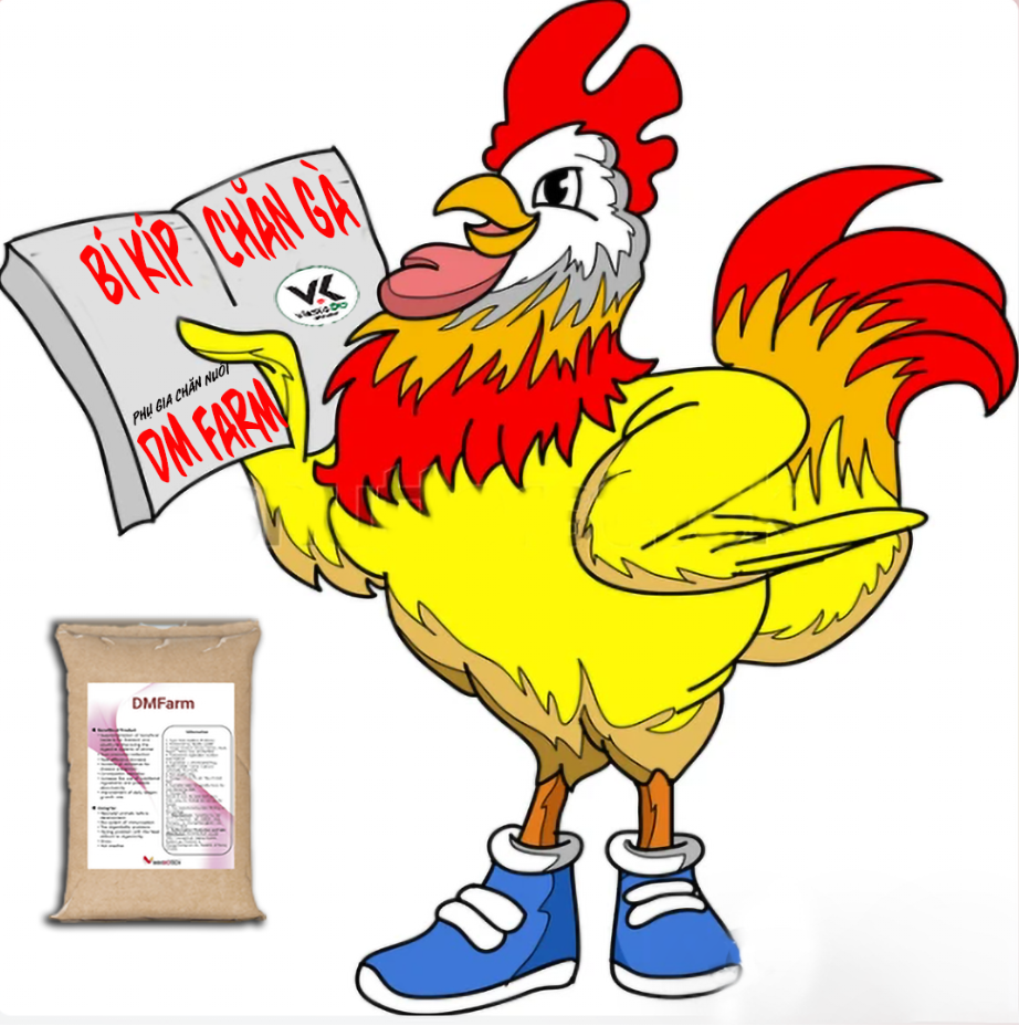 Sự thật về gà có thể bạn chưa biết???