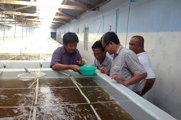 siet-chat-quan-ly-chat-luong-tom-giong