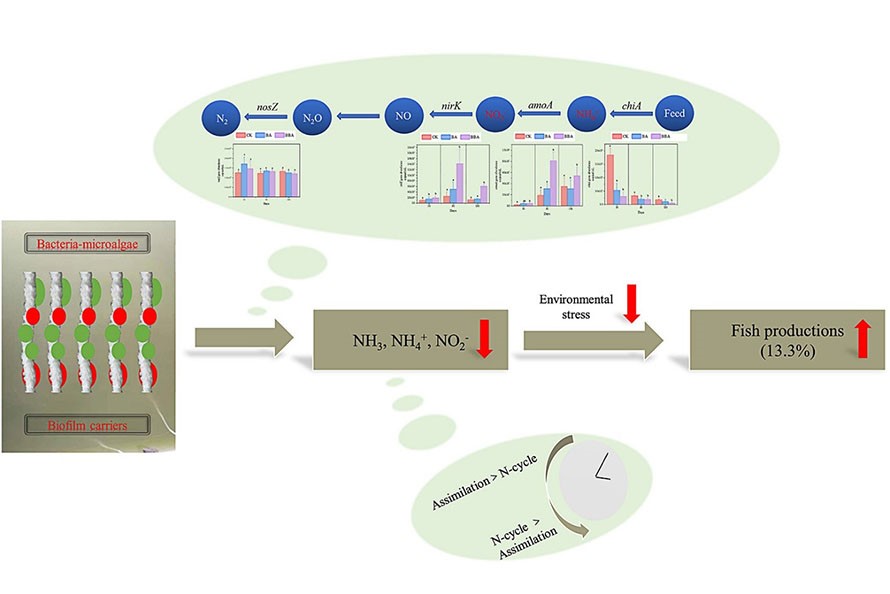 so-do-loi-ich-vi-khuan