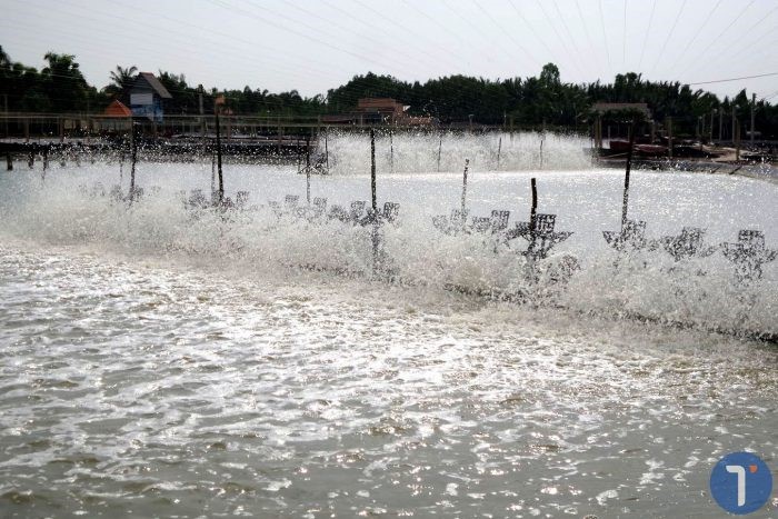 so-sanh-hieu-qua-cua-cac-dang-may-tao-khi-ao-tom