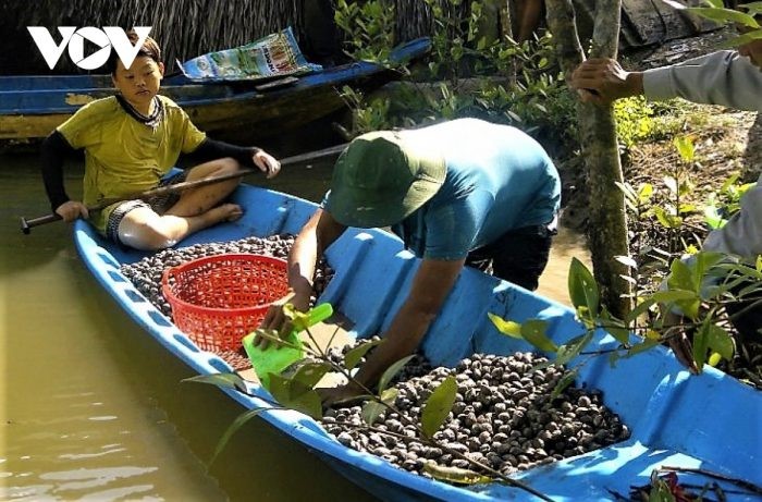 so_huyet_o_huyen_cai_nuoc_da_giam_gia_khoang_30-e1632109612874