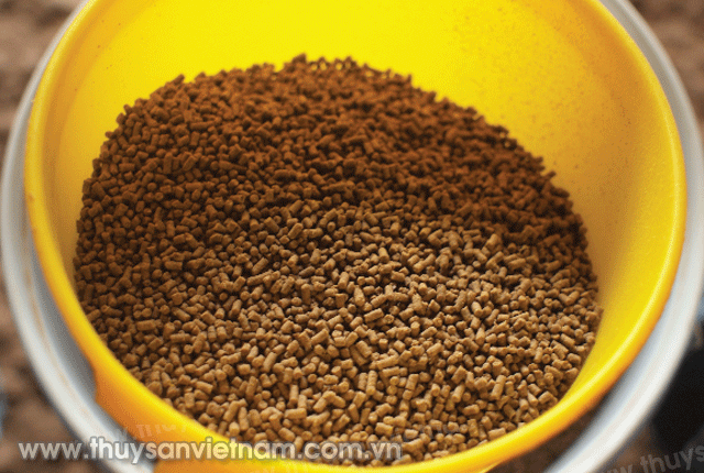 su-dung-bao-quan-thuc-an-tom