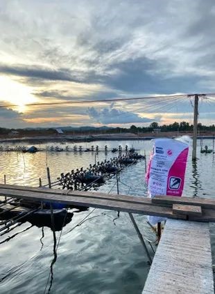 su-dung-vi-tao-kiem-soat-cac-loai-mam-benh